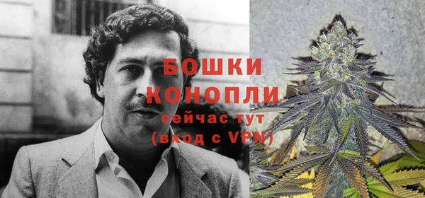 стафф Белокуриха