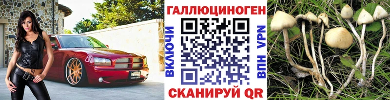 мориарти как зайти Невельск Галлюциногенные грибы прущие грибы сколько стоит