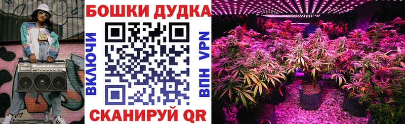 Шишки марихуана Amnesia  Невельск 